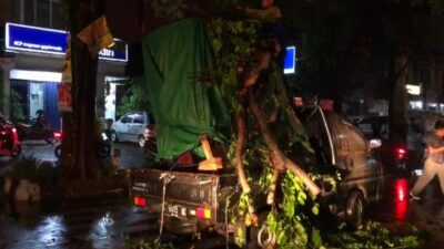 Proses evakuasi ranting pohon yang menimpa mobil pikap di depan Pasar Legi, Desa Seduri, Kecamatan Mojosari, Kabupaten Mojokerto, Kamis (11/01/2024) sore