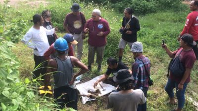 Persiapan ekskavasi situs Kumitir tahun ini. (Erix/kabarterdepan.com) 