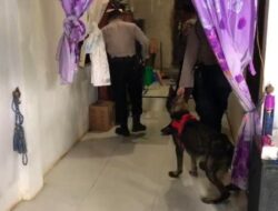 Libatkan Anjing Pelacak K-9, Polisi Geledah Rumah Bandar Narkoba di Kunjorowesi