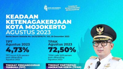 WhatsApp Image 2024 01 04 at 1.31.45 PM