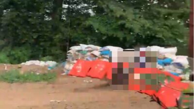 WhatsApp Image 2024 01 04 at 10.09.30 AM