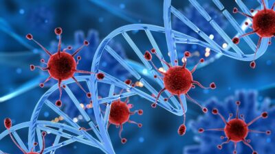 WhatsApp Image 2024 01 08 at 2.57.12 PM