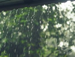 Prakiraan Cuaca Besok di Jawa Timur, Berawan hingga Hujan Disertai Petir