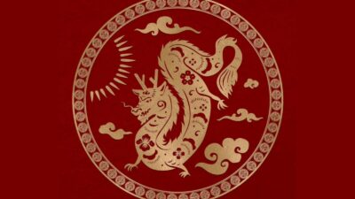 WhatsApp Image 2024 01 22 at 2.46.34 PM