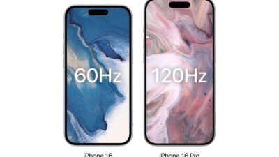 WhatsApp Image 2024 01 25 at 11.24.31 AM