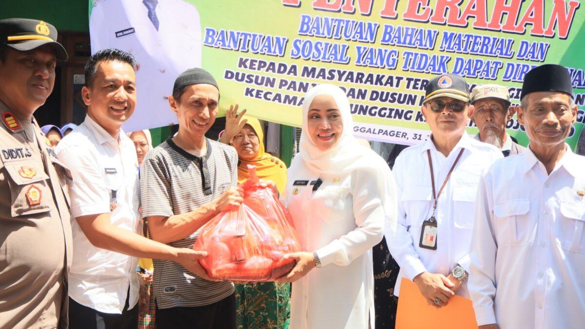 WhatsApp Image 2024 01 31 at 3.52.49 PM