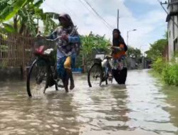 Tak Mampu Tampung Air Hujan, Jalan Perkampungan di Bangsal Tergenang Air, Aktivitas Warga Sempat Terganggu