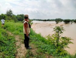 Hujan Lagi, Pos Pantau Sungai di Grobogan Beri Status ‘Awas’