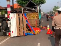 Pikap Bermuatan Durian Tabrak Mobil PLN yang Sedang Benahi Gardu Listrik