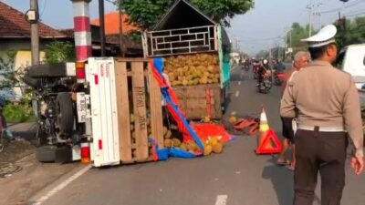 Kondisi mobil pikap yang bermuatan durian terguling (Redaksi Kabarterdepan.com)