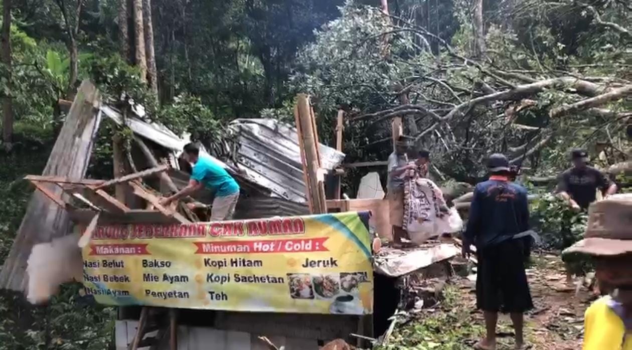 Proses evakuasi warung yang tertimpa pohon di Desa Penanggungan, Kecamatan Trawas, Kabupaten Mojokerto (Redaksi Kabarterdepan.com)