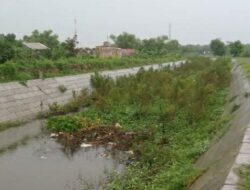 PT Tiara Magelang KSO Pelaksana Proyek Tanggul di Jombang Diduga Tidak Profesional, Aliran Sungai Tersendat