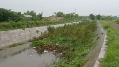 Tumpukan tanah di tengah sungai yang tidak dibersihkan oleh pemenang lelang proyek tanggul normalisasi sungai di Jombang. (Redaksi kabarterdepan.com)