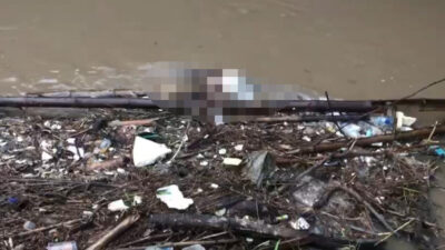 Mayat pria tanpa identitas ditemukan mengapung di aliran Sungai Dusun Adisono, Desa Lebaksono, Kecamatan Pungging, Kabupaten Mojokerto, Minggu (18/2/2024) (Redaksi Kabarterdepan.com)