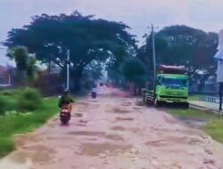 Fakta 6 Ruas Jalan Rusak di Grobogan yang Diusulkan Inpres Jalan Daerah (IJD)