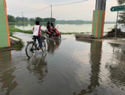 Pasca Hujan Deras, Ruas Jalan Desa Jotangan Mojokerto Masih Tergenang Air