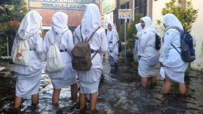 Screenshot 20240219 155441 Gallery