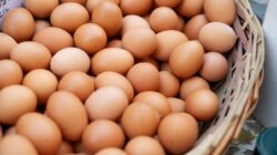 Update Harga Bahan Pokok Mojokerto: Telur Ayam, Beras hingga Minyak Goreng Naik