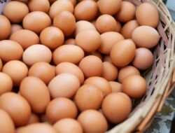 Update Terbaru Harga Bahan Pokok di Kabupaten Mojokerto Hari Ini, Telur Ayam Ras hingga Susu