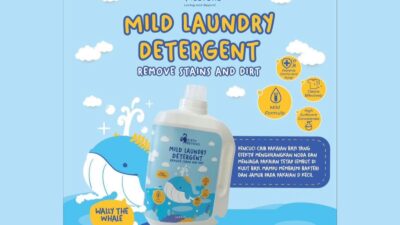 WhatsApp Image 2024 02 09 at 2.19.03 PM