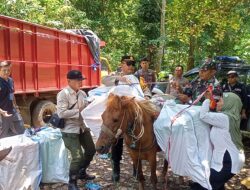 Distribusi Logistik Pemilu ke Daerah Terpencil di Jember Diangkut Kuda