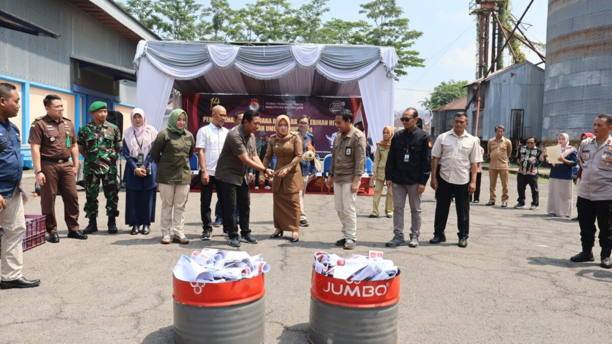 WhatsApp Image 2024 02 15 at 8.50.51 AM