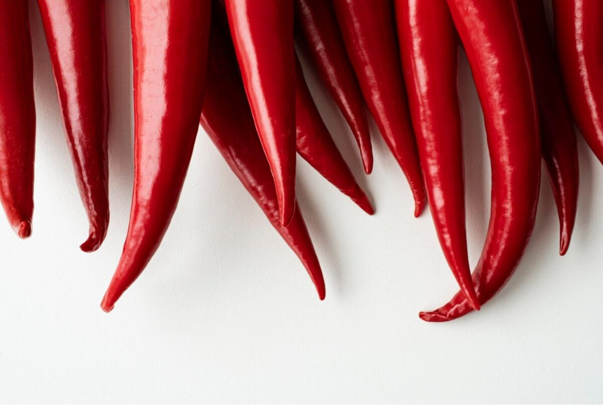 WhatsApp Image 2024 02 16 at 10.33.29 AM