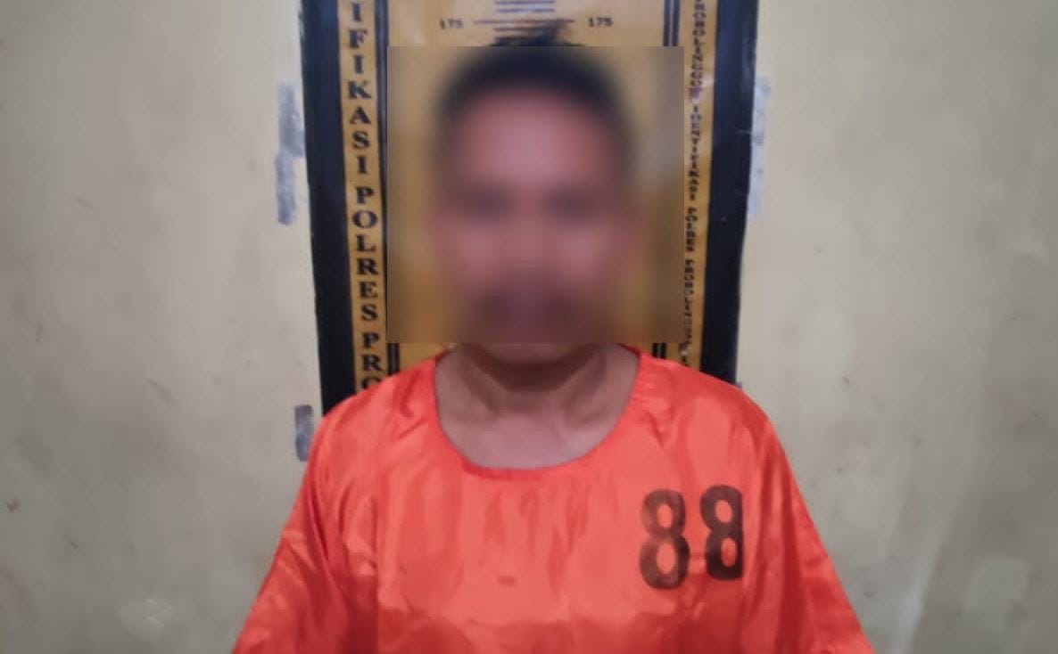 WhatsApp Image 2024 02 19 at 11.22.46