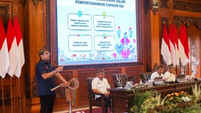 WhatsApp Image 2024 02 28 at 3.35.07 PM