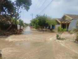 Tanggul Sungai Sadar Jebol, Ratusan Rumah Terendam Air hingga Ribuan Warga Kedunggempol Mengungsi