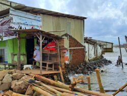 Derita Warga Kampung Bahari Tambaklorok Semarang yang Rumahnya Dikepung Banjir Rob