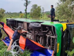 Hindari Sedan, Bus Trans Jatim Mojokerto-Gresik Terguling di Dawarblandong