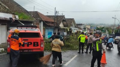 Anggota Polres Batu dan BPBD bahu membahu menolong korban akibat pohon tumbang. (Yan/kabarterdepan.com) 