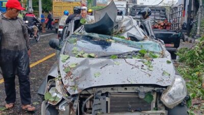 Kondisi mobil yang ringsek tertimpa pohon tumbang di Semarang, Selasa (12/3/2024). (Ahmad/kabarterdepan.com)
