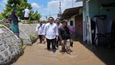 WhatsApp Image 2024 03 06 at 1.54.47 PM