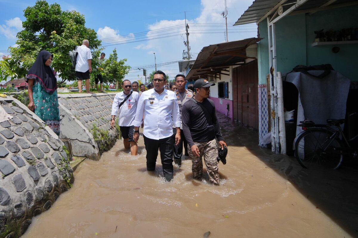 WhatsApp Image 2024 03 06 at 1.54.47 PM 1 WhatsApp Image 2024 03 06 at 1.54.47 PM