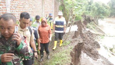 WhatsApp Image 2024 03 11 at 3.38.14 PM