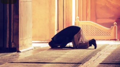 WhatsApp Image 2024 03 25 at 9.22.42 AM