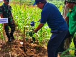 Tanam 1.000 Bibit Alpukat, Wakil Bupati Grobogan Pastikan Kekurangan Pupuk Petani Hutan Terpenuhi