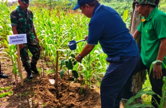 Wakil Bupati Grobogan Bambang Pujiyanto menanam bibit alpukat di Desa Kalangbancar, Kecamatan Geyer, Kabupaten Grobogan, Minggu (7/4/2024). (Masrikin/kabarterdepan.com) 