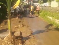 Kesal Jalan Desa Rusak Dilewati Truk Galian C, Warga Jatirejo Blokade dengan Menanam Pohon Pisang
