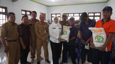 WhatsApp Image 2024 04 03 at 10.46.04 AM