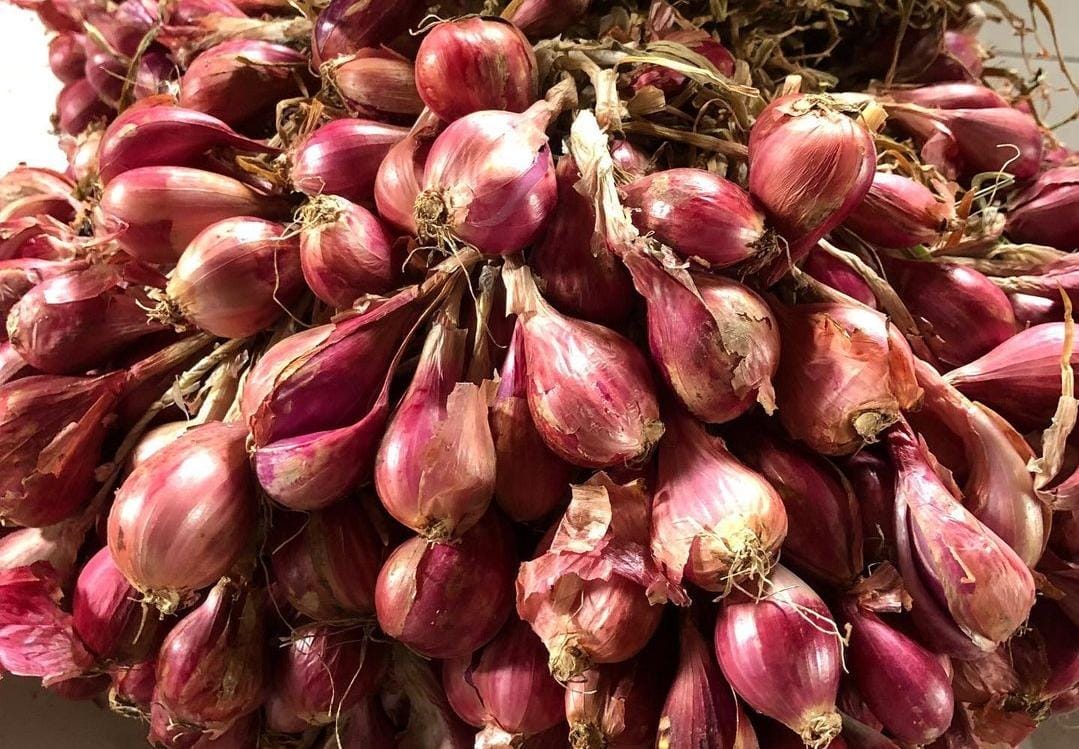 Bawang merah. (Alief Wahdana/kabarterdepan.com)
