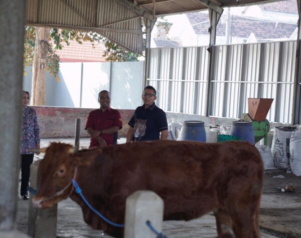 Pemkot Mojokerto Bakal Sidak Lapak Penjualan Hewan Kurban Jelang Hari Raya Iduladha