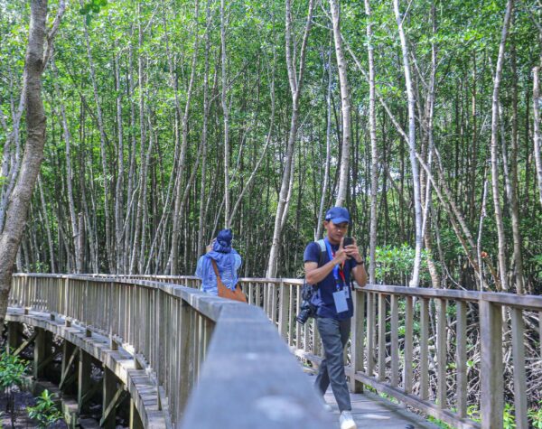 Delegasi World Water Forum ke-10 di Bali akan Kunjungi dan Tanam Mangrove di Tahura Ngurah Rai