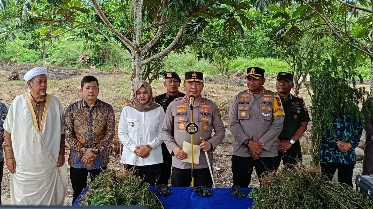Kapolda Sumatera Utara memberikan keterangan soal penemuan 2 kadang ganja. (Suhartono/kabarterdepan.com)