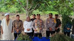 Polda Sumatera Utara Ungkap Penemuan 2 Ladang Ganja