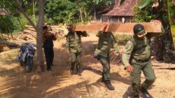 40 Batang Kayu Hasil Curian di Grobogan Diamankan, Pelaku Belum Ditangkap