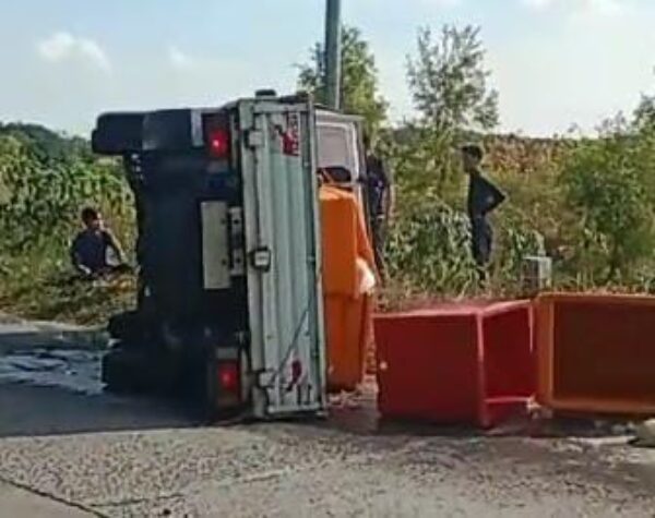 Lewati Tikungan, Pikap Bermuatan Usus Ayam Terbalik di Dawarblandong