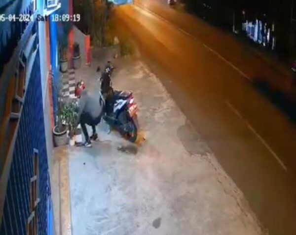 Pria Bersepatu Mencuri Tanaman Hias di Kutorejo, Aksinya Terekam CCTV